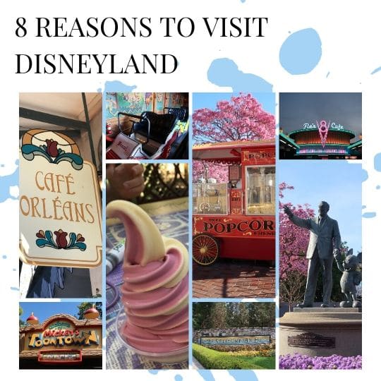 8 Reasons Why You Should Visit Disneyland