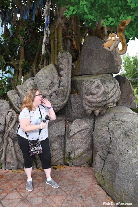 Animal Kingdom Photopass Tree of Life