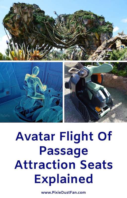 Avatar Flight Of Passage Ride Seats Explained