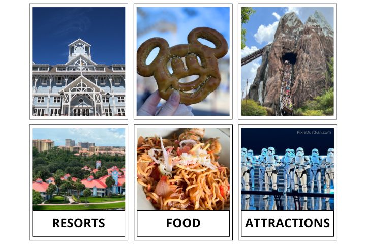 Disney Travel Agent Areas of Focus