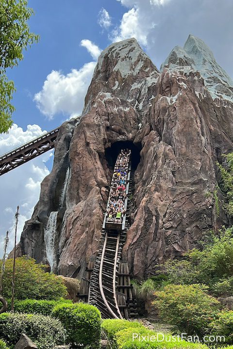 Expedition Everest at Animal Kingdom