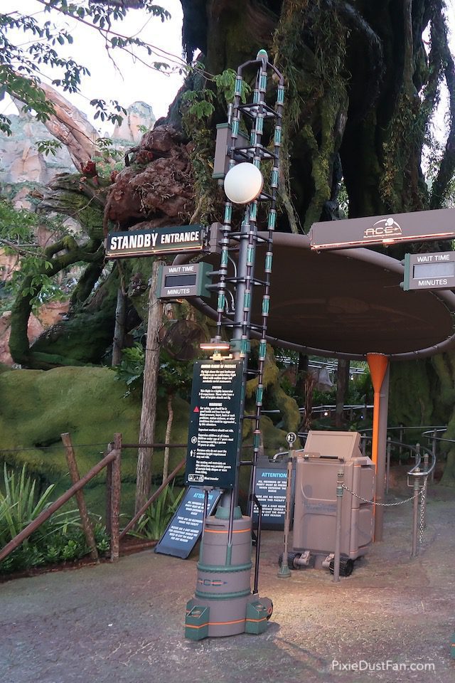 Top Tips for Riding Avatar Flight of Passage