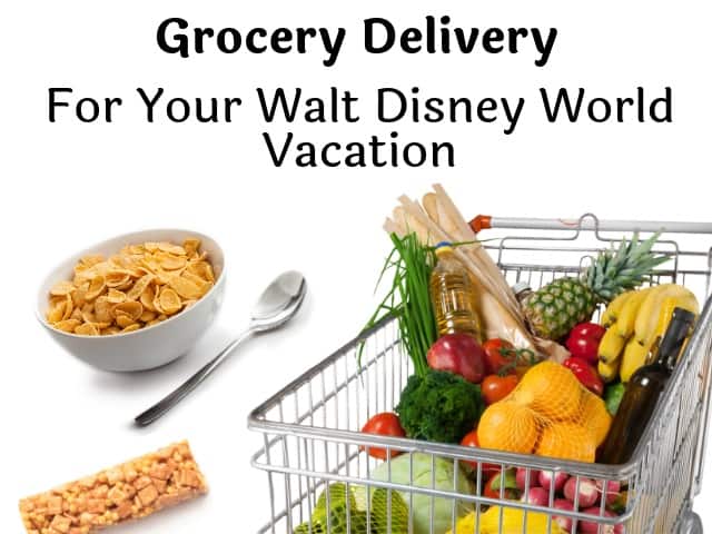 3 Things to consider before ordering groceries for your Walt Disney World vacation