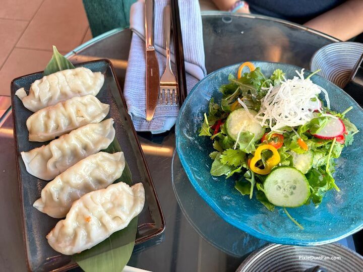 Illume Pot Stickers and Salad