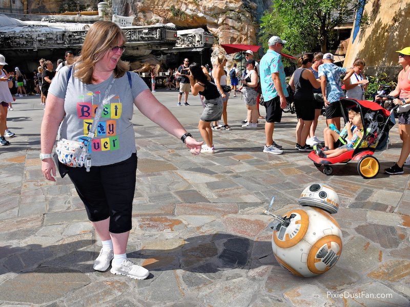 Memory Maker - Pixie Dust Fan and BB8