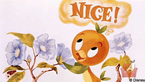 Orange_Bird_Nice