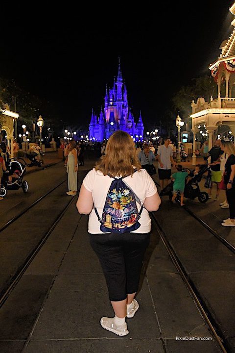 Pixie Dust Fan Disney Park Bag