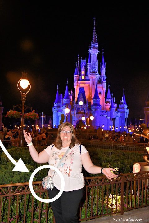 Crossbody bags discount for disney world