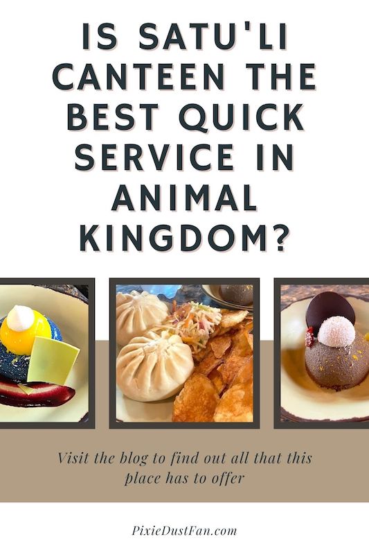 Is Satu\'li Canteen the BEST quick service food at Disney\'s Animal Kingdom?