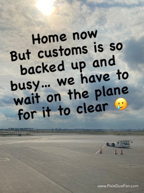 Toronto Customs Arrival
