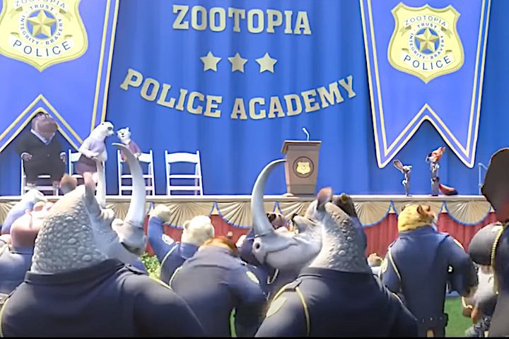 Zootopia Graduation